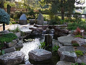 Water Features